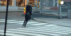 khaleesibeyonce:  onlylolgifs:   People blown over in streets as Storm Ivar hits Norway  you’ve been hit by you’ve been struck by a smooth criminal 