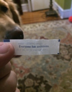 godshideouscreation:  thisisnicolai:  &ldquo;Fuck yo ambitions&rdquo;  this is honestly the best post and so like dogs its not even funny 