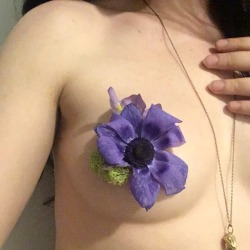 herdirtylittleheart: Flower Fairy Looks June 8th 2018 - Sabina teaches us how to make pasties and jewellery from fresh flowers (Heart, Beth, Mo, Peach, Kitten, Sabina, Ms.O &amp;     Elly) 