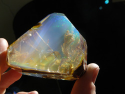 mymodernmet:  Oregon Opal by Inna Gem Spectacular photos of a crystal opal that looks like a handheld aquarium or a magical rock featuring an underwater view of the ocean floor. 