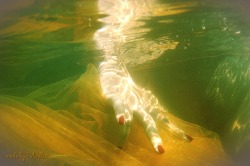 soleilaberlin:  Under water with W. in Nordpol â˜€ï¸  â¤ï¸