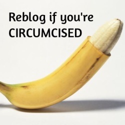 kwopper54:  kookooloo:  imjosh23:  bounddylan:  Reblog if you’re circumcised…   I am circumcised 😊  Yep!  Yup  Absolutely 