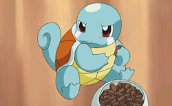 jorgee7:  Squirtle &lt;3