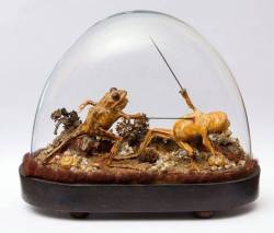 arcaneimages:  This taxidermy was found inside a late 19th-century French mansion which has been sealed up for more than 100 years. Via National Geographic.