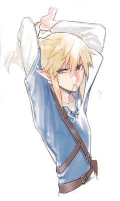 pictolita:  Link with ponytail from E3 is exciting..! 