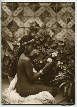  Lehnert et Landrock - Jeune fille aux fleurs, afrique du nord, postcard, 1910 