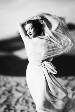 sharontates:  Marlene Dietrich in The Garden of Allah (1936). Photo by Kenneth Alexander 