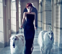 upallnightogetloki:  I cannot unsee Black Widow just because she’s still got the red hair and the dogs are Borzoi which are a Russian breed. This just SCREAMS Russian high society Natalia Romanova.