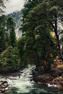 disminucion:  Yosemite | Ramin Hossaini