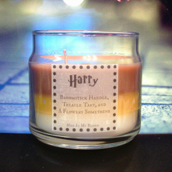 lost-lil-kitty:  princess-kittenpillar:  femme-faunlette:  acid-washed-thoughts:  cherry-pie-dean:  Harry Potter Characters Themed CandlesThere are even more characters and products on the website!   IF ANYONE HAS EVER LOVED ME YOU WILL BUY ME THESE