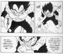 stupidoomdoodles:  fenrispenris:  stupidoomdoodles:  rainbowsparky:  stupidoomdoodles:  duvete:  stupidoomdoodles:  remember that one time vegeta worried about being pretty in the middle of a fucking fight tho #headcanon that he’s just as shallow and