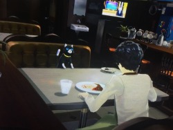 yusuke-inari: Who needs a girlfriend when you can just have dinner with your cat