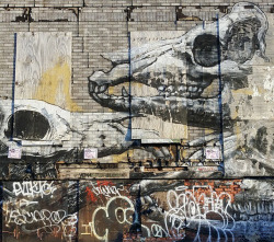 Cyberhl:  Not–Banksy:  Roa - Brooklyn