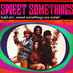 Sweet Somethings - Hold on!.. Sweet Somethings Are Comin’ (1967)