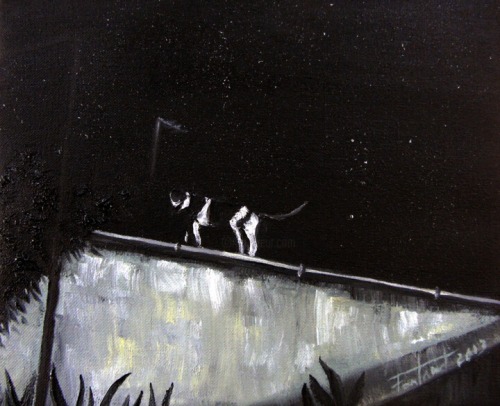 huariqueje:  Night Cat -   Josep M. Fontanet , 2013.Catalan, b.  1955  -Oil on canvas , 22 x 27 cm,
