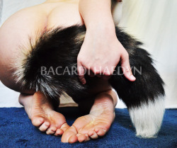 reyariley: bacardihaedyn: My favorite tail, Daddy’s favorite ass. hey! it’s me! with my old watermark!😂 
