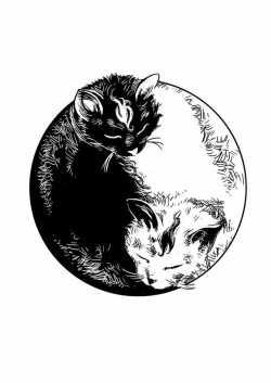 cosmic-flame-of-creation:Yin Yang Cats |♡| steff00