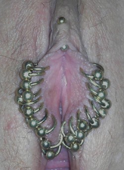 pussymodsgaloreA much pierced pussy, she has a VCH with a barbell, and twenty inner labia piercings with rings.