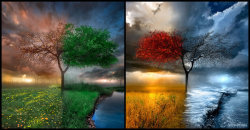 Four sunrises, four seasons