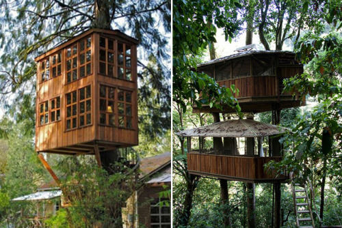 th3jynxxx:  poeticajustice:  moreprogression:  twentymissedyears:  will some one build a tree house with me  EFF yeah  Babe will u live in a treehouse w me   Want them all!  OMG this is serious building work