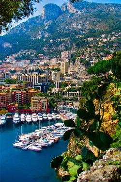 italian-luxury:  Monaco, Yacht Parking