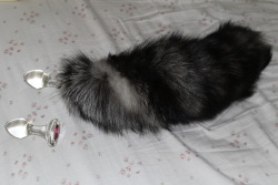 Yay my new silver/black fox tail and princess