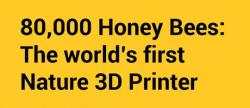 nautical-constructs:  killa-kelly:  emilet:  1los:  Bees are nature’s 3D printer  Fucking bees are the best.  Fuck yes they are.  what the actual fuck bees. why are you engineering geniuses 