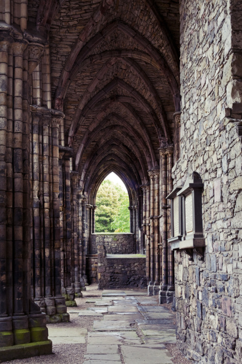 marbellemarbeau:  Holyrood Abbey, Edinburgh. adult photos