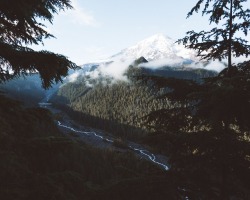 extraordinaryearth:  Mount Rainier National Park, United StatesPhoto by adrian on Unsplash