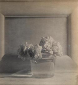 rivesveronique: Baron Adolf de Meyer  (1868-1946) Roses in vase ,1911