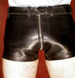 308.Â  Leather shorts are always nice to see, but these have a very convenient design feature.