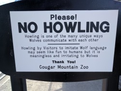 good-dog-girls:  speciesofleastconcern:  elphabaforpresidentofgallifrey:  katie-pup:  don’t awoo  “don’t appropriate wolf culture” this zoo is run by fucking sjws trying to create some kind of safe space bullshit  Everything you do is meaningless