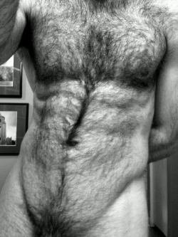 hairy-chests:  Hairy Chest S  Wow