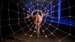 blackrome:  metalkitty251: Spiderweb 