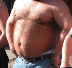 fhabhotdamncobs:bear-republic-world: real furry sexy belly !!  love it     W♂♂F     (WARNING!   No “Pretty Boys” here.)