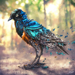 rene-art:  The Colours FadeIllustrative interpretation of the Superb Starling. I am finally done! There are a few things I would change but it’s time to move on. Hope you like it!Full view. Photoshop CS5 | Wacom Intuos 4 + Wacom Cintiq 24 HD | App.