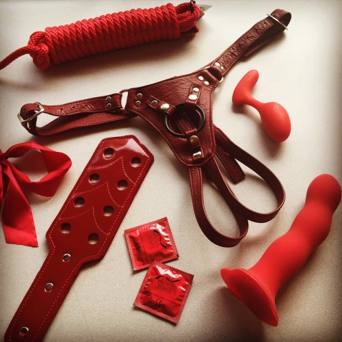 heyepiphora:  babeland:    Bill Blass once said, “Red is the ultimate cure for sadness.”   Product list: red nylon bondage rope, the Jaguar harness in Cherry, the Bouncer dildo, the Evi by Aneros, the Candy Apple Paddle, and some Glyde condoms.  