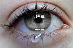totallytransparent:  Semi Transparent Eye (iris matches the colour of your blog)Made by Totally Transparent 