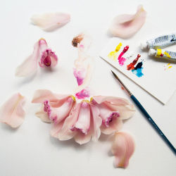 wetheurban:  ART: Flowergirls by Lim Zhi