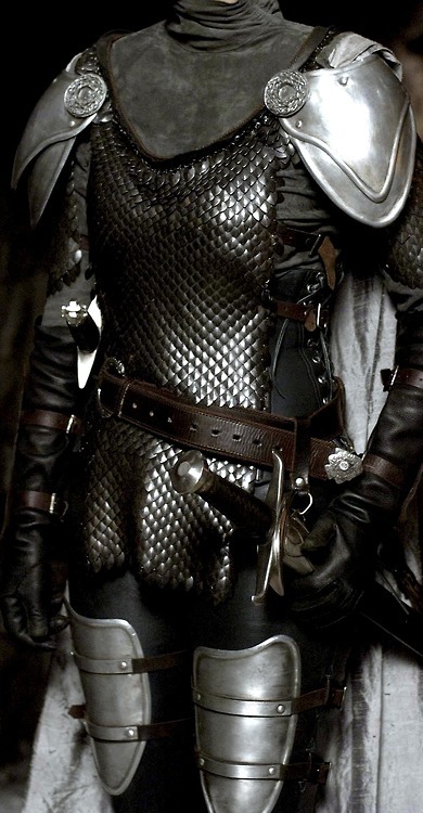 Porn Pics littlefindsforgot:  Brienne’s Armor 