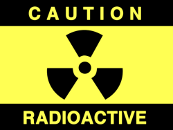 onegreenplanet:  5 Plant-Based Foods that Fight Radiation Exposure 