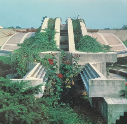 pressworksonpaperblog:from “modern gardens and the landscape”, 1986 edition of 1964 original.