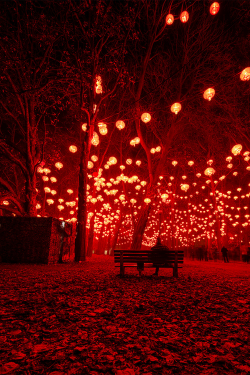 plasmatics-life:  Red forest ~ By Corinne