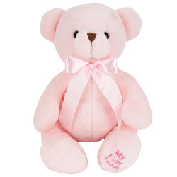 stuffys:  Toys R Us My First Teddy Bear Pink 
