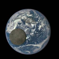 Full Moon, Full Earth #nasa #apod #moon #satellite #earth #planet #darksideofthemoon #dscovr #spacecraft #epic #solarsystem #newmoon  #space #science #astronomy