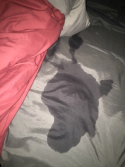 tobisparadise:  fluffy-omorashi:a BIGGGGG embarrassing puddle  across my bed~😣💦🛌 although I wear diapers, I sort of had the same situation this morning. Too much green tea in the evening I presume.  It’s a wet the bed accident kinda day today