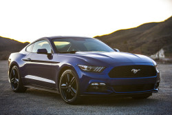 automotivated:  Backlit 2015 EcoBoost Mustang by BrandanGillogly on Flickr.