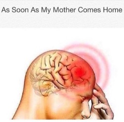 xodiene:  ell-zy:  artsyasfuckk:  Where is the damn lie  my mom works from home…  i lost my shit. the accuracy lmfao 