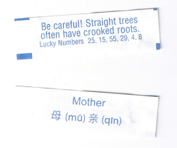 fortuneaday:  [A white fortune cookie paper with blue text. Front: Be careful! Straight trees often have crooked roots. Lucky Numbers 25, 15, 55, 29, 4, 8 Back: Mother, Chinese text (mǔ) (qīn)]