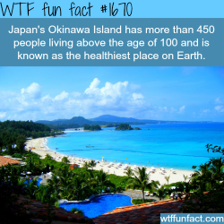 wtf-fun-factss:  Japan’s Okinawa Island - WTF fun facts